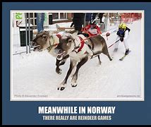 Image result for Funny Norwegian Memes