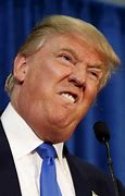 Image result for Funny Zoom Backgrounds Trump