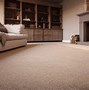 Image result for How to Clean Berber Carpet