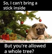 Image result for Cute Dog Christmas Meme