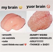 Image result for Cute Brain Meme