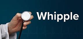 Image result for choroba_whipple'a