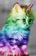 Image result for Funny Unicorn Cat