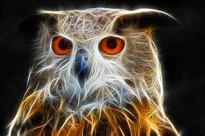 Image result for Fractal Owl