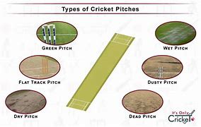 Image result for Full Pitch Cricket Trophy