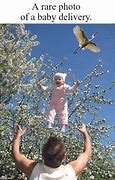 Image result for Funny Stork Baby Cartoon