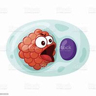 Image result for Chlamydia Cartoon