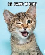 Image result for Cat Looking Meme