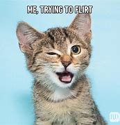 Image result for Be a Hero Funny Cat Meme