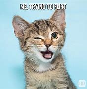 Image result for Angry Cat Face Meme