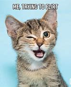 Image result for Cute Meme Cats Images