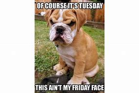 Image result for See You Tuesday Meme