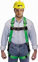 Image result for Harness Back View
