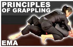 Image result for MMA Grappling