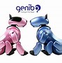 Image result for Genibo
