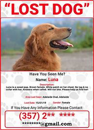 Image result for Lost Dog Reward Poster