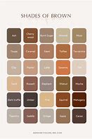 Image result for All Shades of Brown