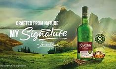Image result for Steve Price Signature