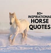 Image result for Inspiring Horse Quotes