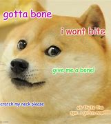 Image result for Dog Bone Meme