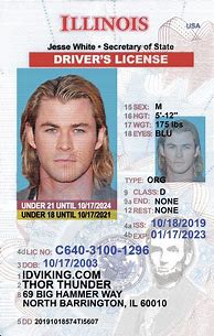 Image result for Illinois Real ID License