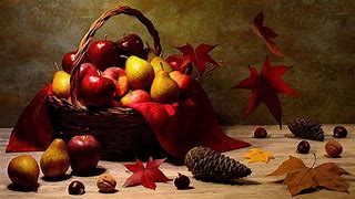 Image result for Bing Images Apple's and Fall