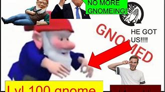 Image result for Discord Gnome Meme