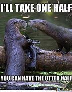 Image result for Otter Scientist Meme