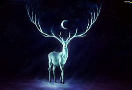 Image result for Deer Moon Art