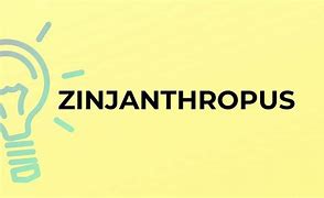 Image result for co_to_znaczy_zinjanthropus