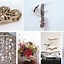Image result for Driftwood Wall Hanging Ideas