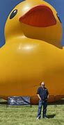 Image result for World's Big Rubber Duck