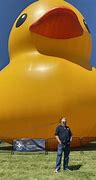 Image result for World Record Most Rubber Ducks