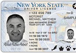 Image result for Real Government ID