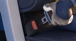 Image result for Seat Belt Buckle Key Holder