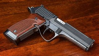 Image result for Sub Compact Pistols 380