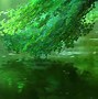 Image result for Anime Girl Green Screen Background
