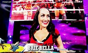 Image result for WWE Nikki Bella Championship