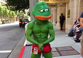 Image result for Frog Costume Meme