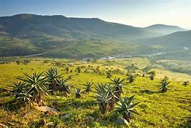 Image result for Swaziland