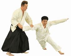 Image result for Aikido Martial Arts Techniques
