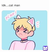 Image result for Man Idk Cat Meme