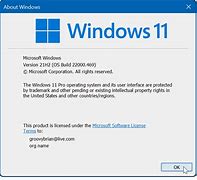 Image result for Windows 11 Home Winver