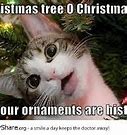 Image result for Christmas Is Coming Memes Funny