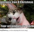 Image result for Christmas Party Time Meme