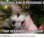 Image result for Holiday Cat Meme