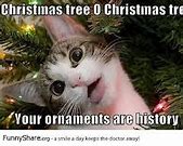 Image result for Mighty Tree Meme