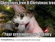 Image result for Almost Christmas Work Meme