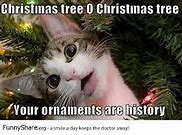 Image result for The Tree Is Calling Meme