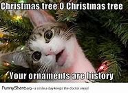 Image result for Christmas Bane Meme